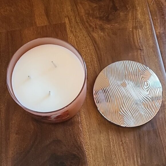 APPLE ORCHARD LANE 3 Wick Candle Bath and Body Works - Picture 4 of 6